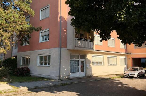 Altbauwohnung kaufen in 9020 Klagenfurt (Bild 1)