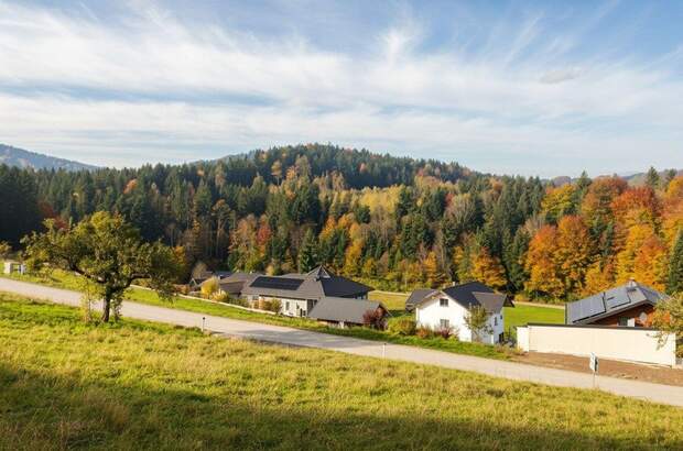 Grundstück kaufen in 4656 Kirchham (Bild 3)