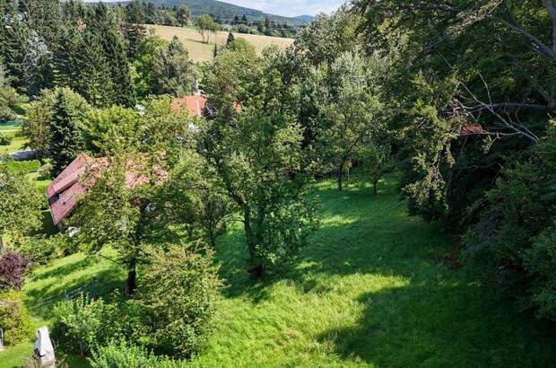 Haus kaufen in 3021 Pressbaum (Bild 3)