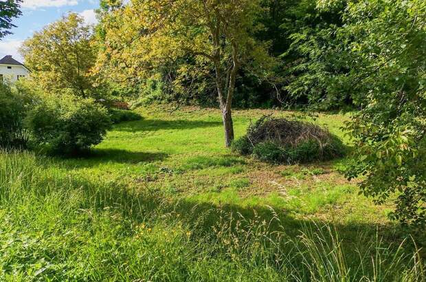 Gewerbeobjekt kaufen in 8046 Graz (Bild 1)