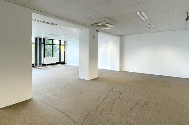 Gewerbeobjekt mieten in 1220 Wien (Bild 5)