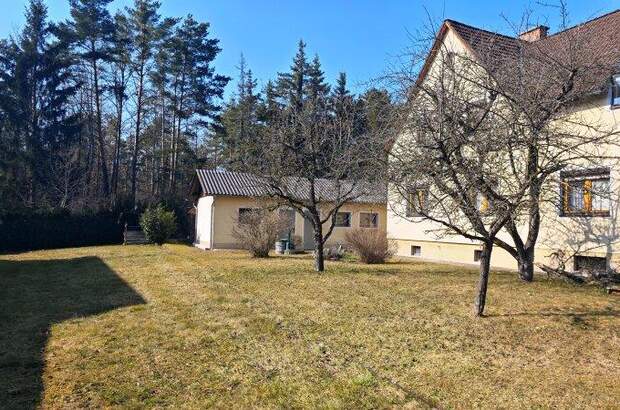 Mehrfamilienhaus kaufen in 2630 Putzmannsdorf (Bild 5)