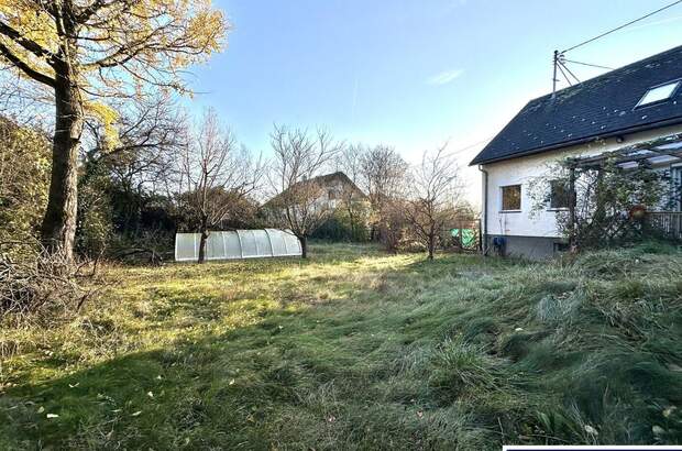 Grundstück kaufen in 4611 Buchkirchen (Bild 5)