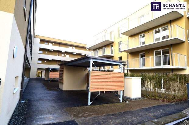 Terrassenwohnung kaufen in 8401 Kalsdorf (Bild 3)
