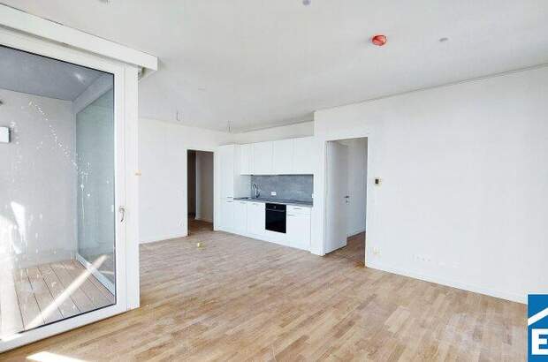 Terrassenwohnung mieten in 1220 Wien (Bild 2)