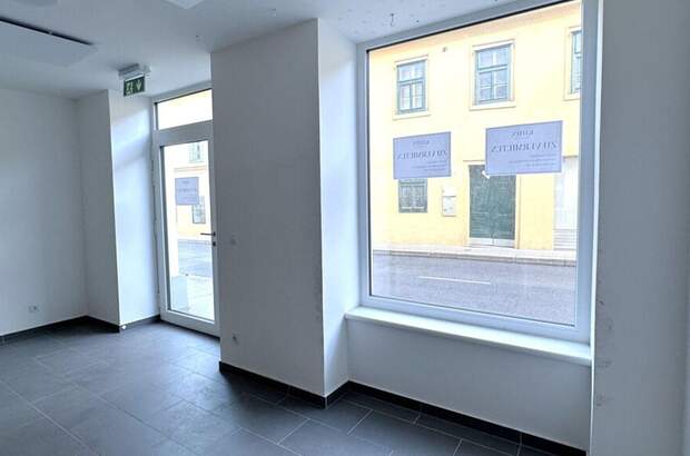 Gewerbeobjekt mieten in 1130 Wien (Bild 4)