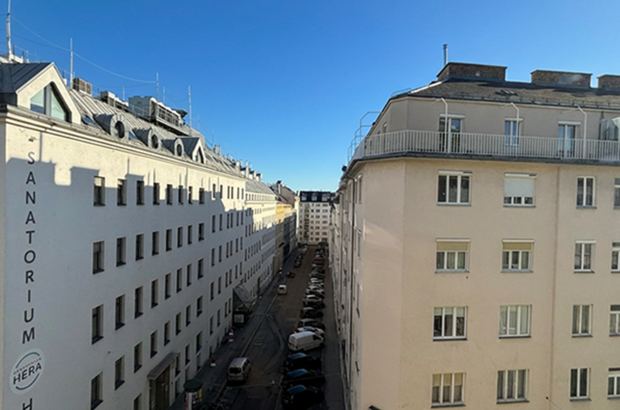 Altbauwohnung mit Balkon kaufen in 1090 Wien (Bild 4)