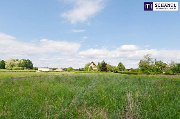 Grundstück kaufen in 8430 Leibnitz (Bild 4)