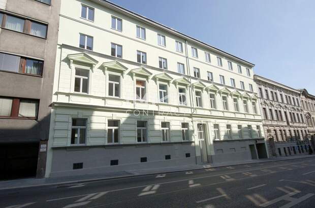 Altbauwohnung mieten in 1190 Wien (Bild 1)