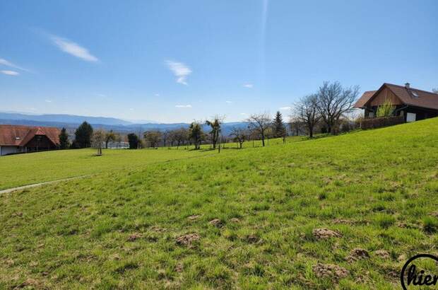 Grundstück kaufen in 8524 Deutschlandsberg (Bild 3)