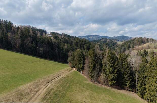 Gewerbeobjekt kaufen in 8184 Anger (Bild 1)