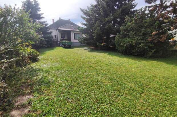 Haus mit Garten kaufen in 7011 Siegendorf (Bild 5)