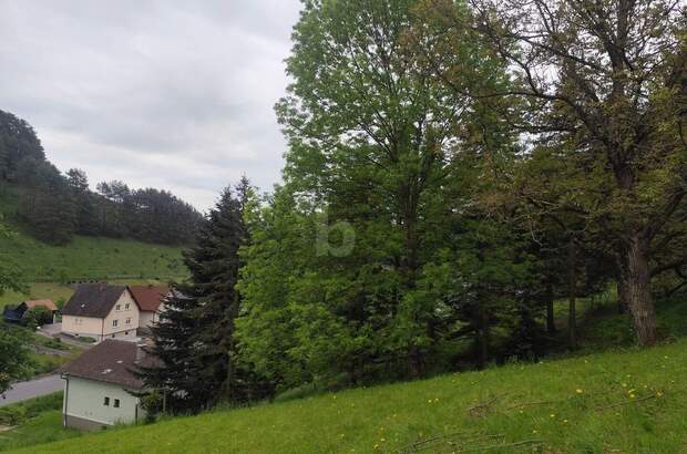 Einfamilienhaus kaufen in 2860 Kirchschlag (Bild 4)