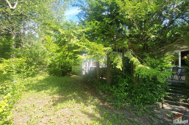 Einfamilienhaus kaufen in 2723 Muthmannsdorf (Bild 3)