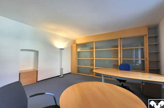 Gewerbeobjekt mieten in 4470 Enns (Bild 5)