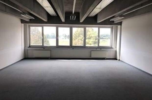 Gewerbeobjekt mieten in 1220 Wien (Bild 2)