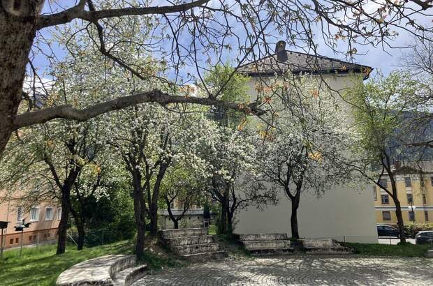 Mietwohnung in 9800 Spittal (Bild 5)