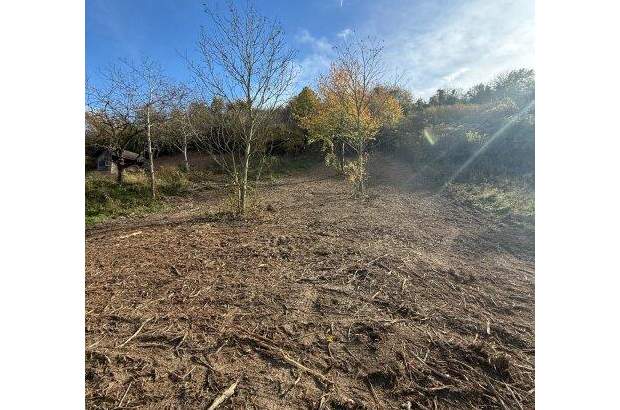 Grundstück kaufen in 3433 Königstetten (Bild 4)