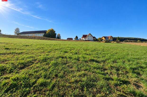 Grundstück kaufen in 8312 Ottendorf (Bild 4)