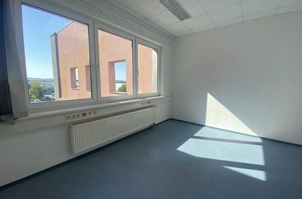 Gewerbeobjekt mieten in 1230 Wien (Bild 3)