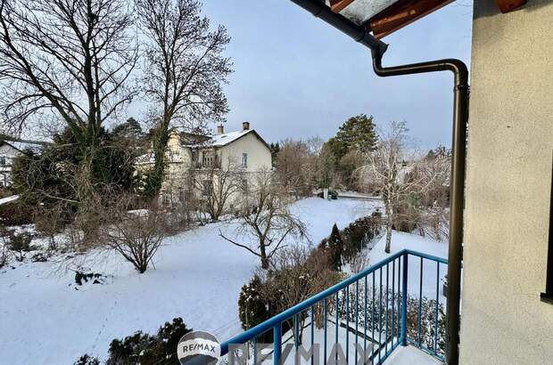 Terrassenwohnung kaufen in 2380 Perchtoldsdorf (Bild 3)
