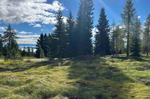 Grundstück kaufen in 9571 Albeck (Bild 2)