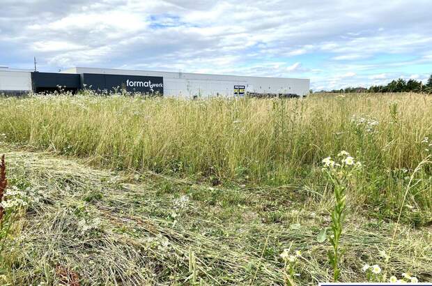 Gewerbeobjekt mieten in 4600 Wels (Bild 3)