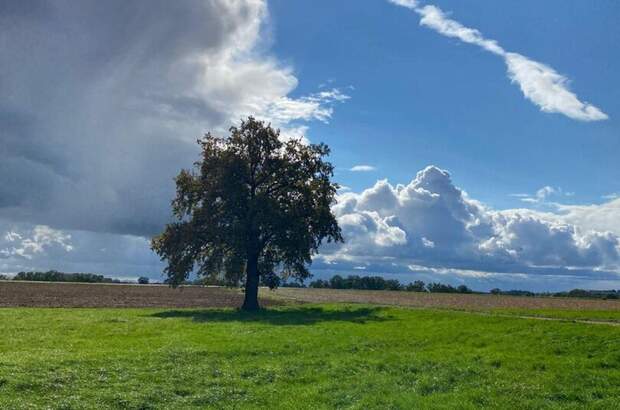 Gewerbeobjekt kaufen in 94072 Bad Füssing (Bild 1)