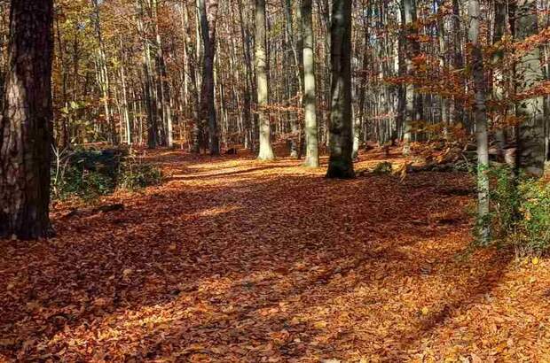 Gewerbeobjekt kaufen in 8282 Bad Loipersdorf (Bild 2)
