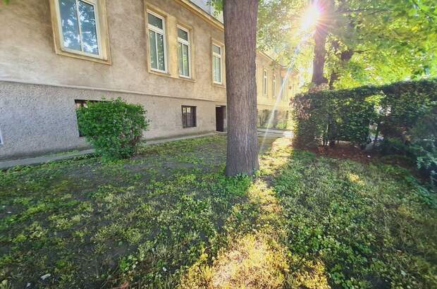 Anlageobjekt kaufen in 1130 Wien (Bild 3)