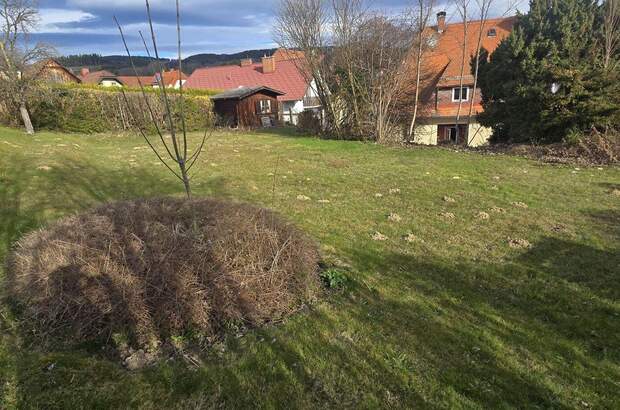 Haus mit Garten kaufen in 8250 Vorau (Bild 5)