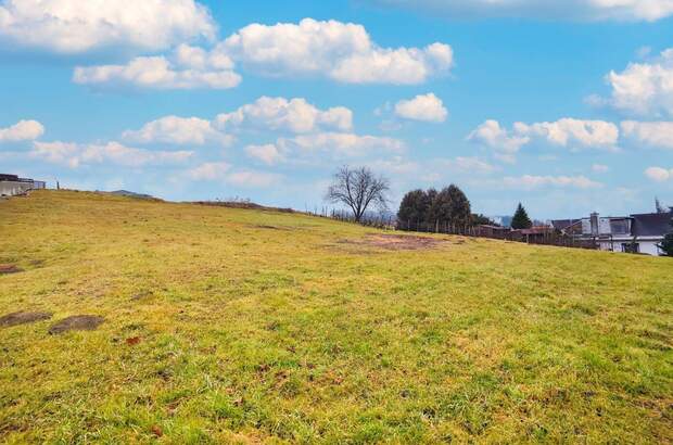 Grundstück kaufen in 8311 Markt Hartmannsdorf (Bild 1)