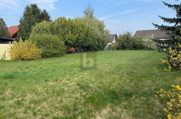 Grundstück kaufen in 2230 Gänserndorf (Bild 4)