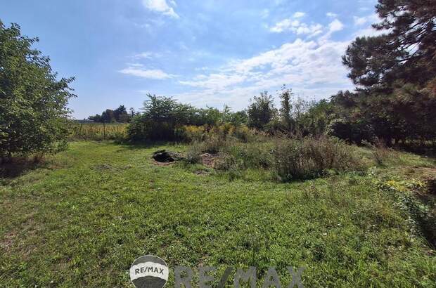 Grundstück mieten in 1220 Wien (Bild 5)