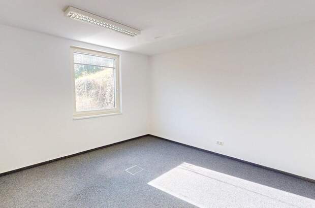 Gewerbeobjekt mieten in 8054 Graz (Bild 1)