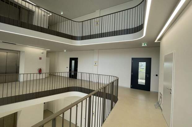 Gewerbeobjekt mieten in 1220 Wien (Bild 3)