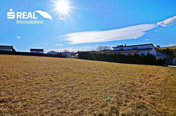 Grundstück kaufen in 7431 Bad Tatzmannsdorf (Bild 3)