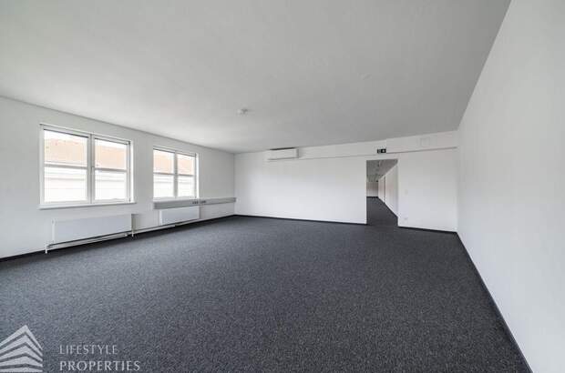 Gewerbeobjekt mieten in 1010 Wien (Bild 4)