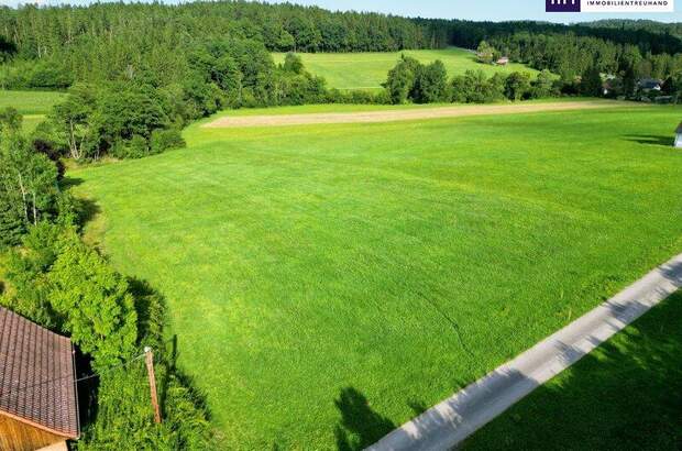 Grundstück kaufen in 8045 Weinitzen (Bild 4)