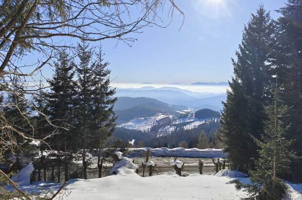 Wohnung kaufen in 9571 Sirnitz (Bild 1)