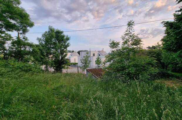 Grundstück kaufen in 4040 Linz (Bild 1)