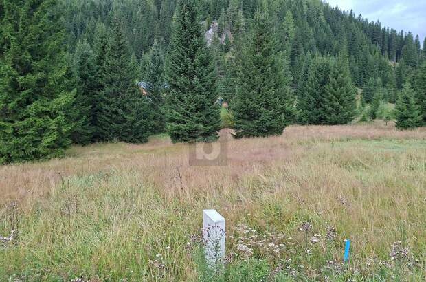 Grundstück kaufen in 9346 Glödnitz (Bild 2)