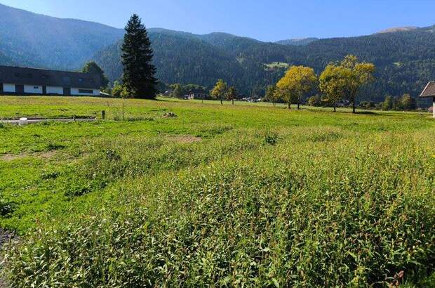 Grundstück kaufen in 9542 Afritz (Bild 3)