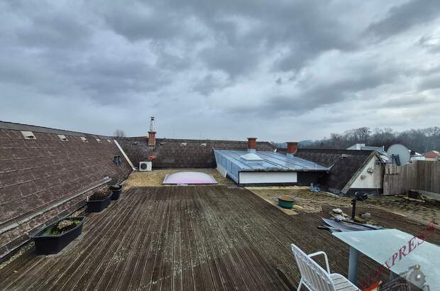 Mehrfamilienhaus kaufen in 7021 Gemeinde Draßburg (Bild 3)
