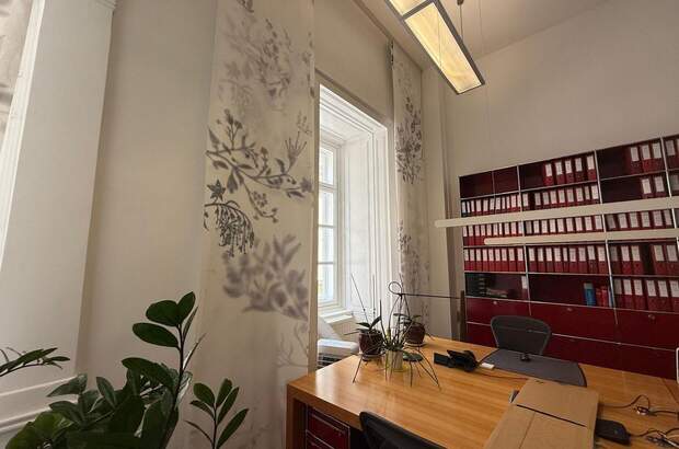 Gewerbeobjekt mieten in 1010 Wien (Bild 5)