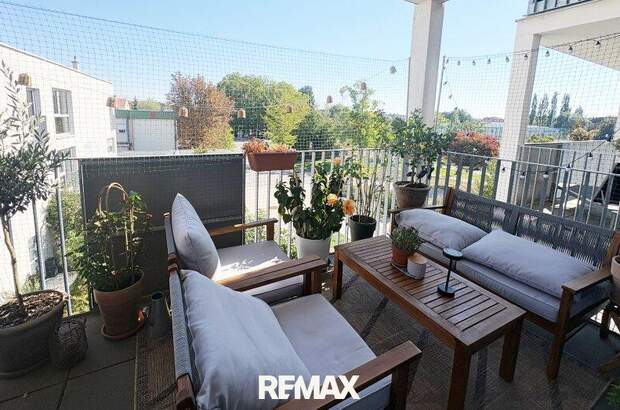 Terrassenwohnung mieten in 2340 Mödling (Bild 2)