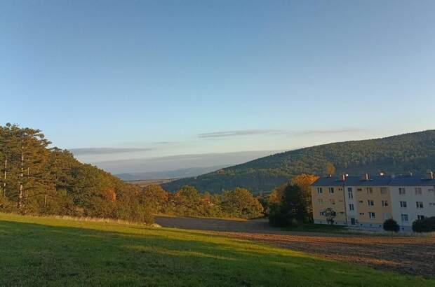 Terrassenwohnung kaufen in 2732 Höflein (Bild 1)