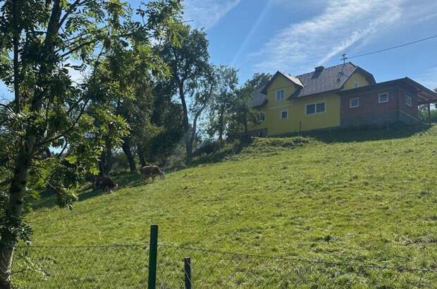 Haus mit Garten kaufen in 9112 Griffen (Bild 5)