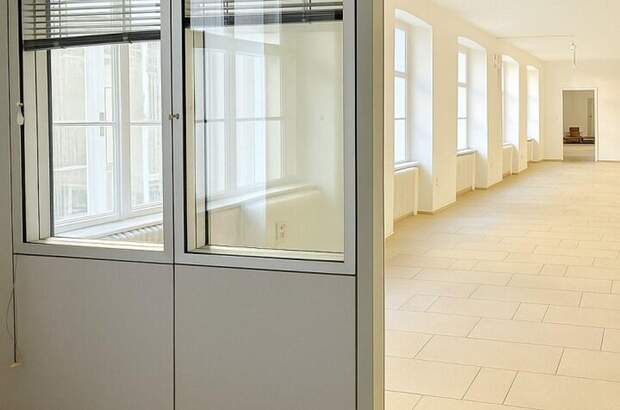 Gewerbeobjekt mieten in 1060 Wien (Bild 3)