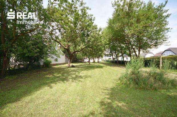 Grundstück kaufen in 2231 Strasshof (Bild 1)